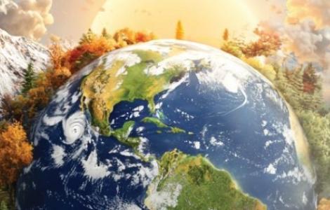 תוכנית שוהם 