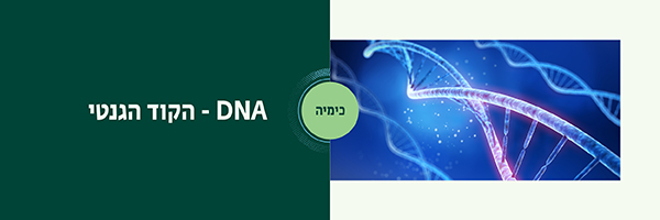 DNA – הקוד הגנטי